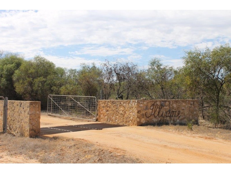 351 Pye Road, Yardarino WA 6525