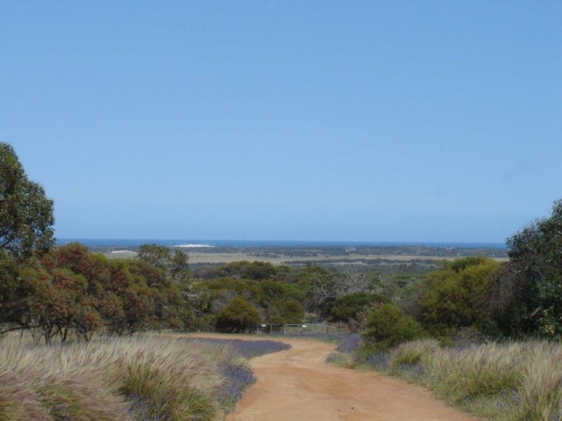 351 Pye Road, Yardarino WA 6525