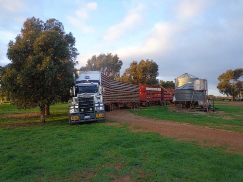 351 Pye Road, Yardarino WA 6525