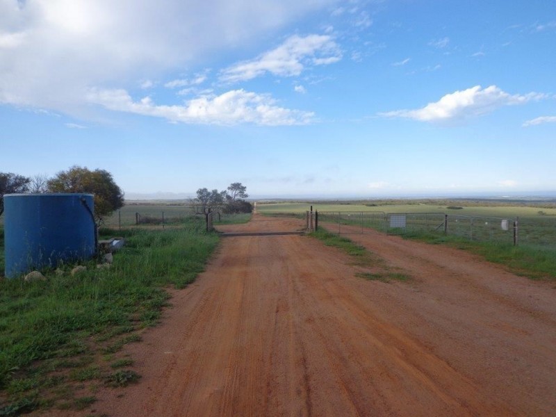 351 Pye Road, Yardarino WA 6525