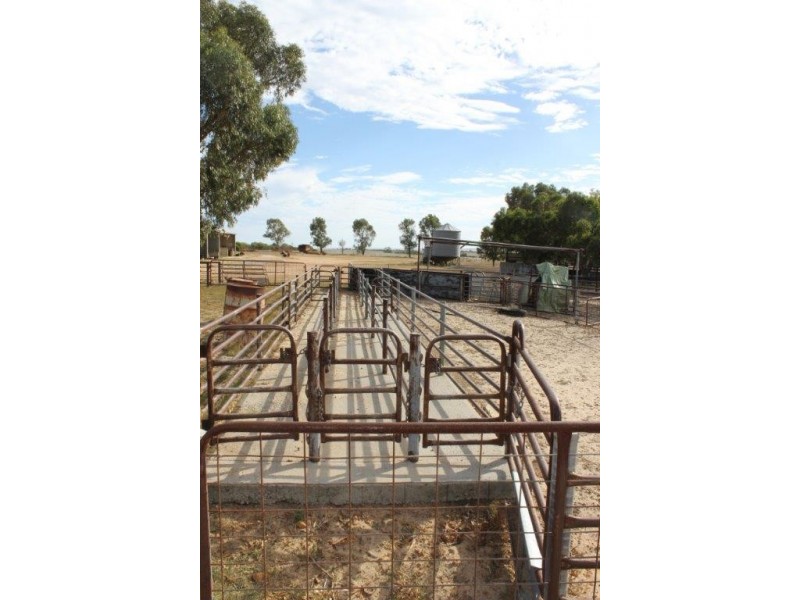 351 Pye Road, Yardarino WA 6525