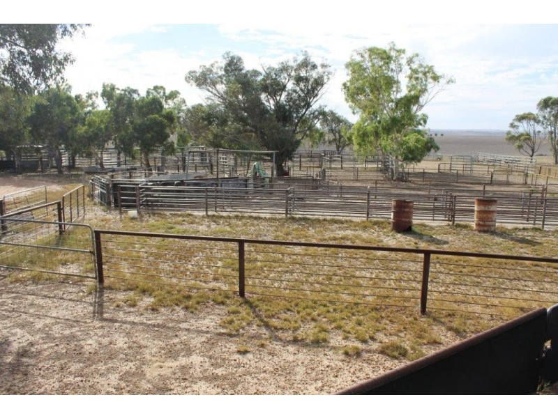 351 Pye Road, Yardarino WA 6525