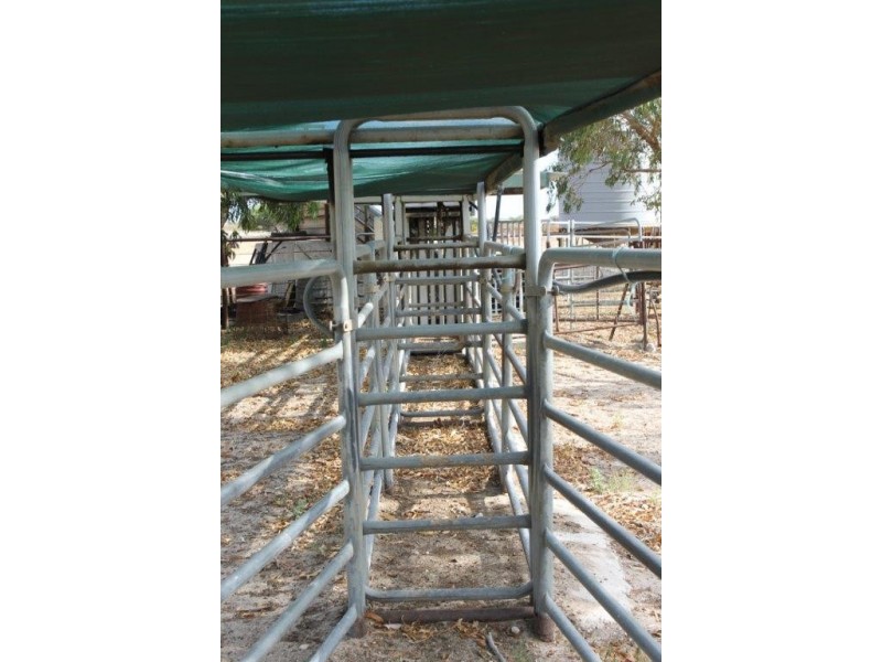 351 Pye Road, Yardarino WA 6525