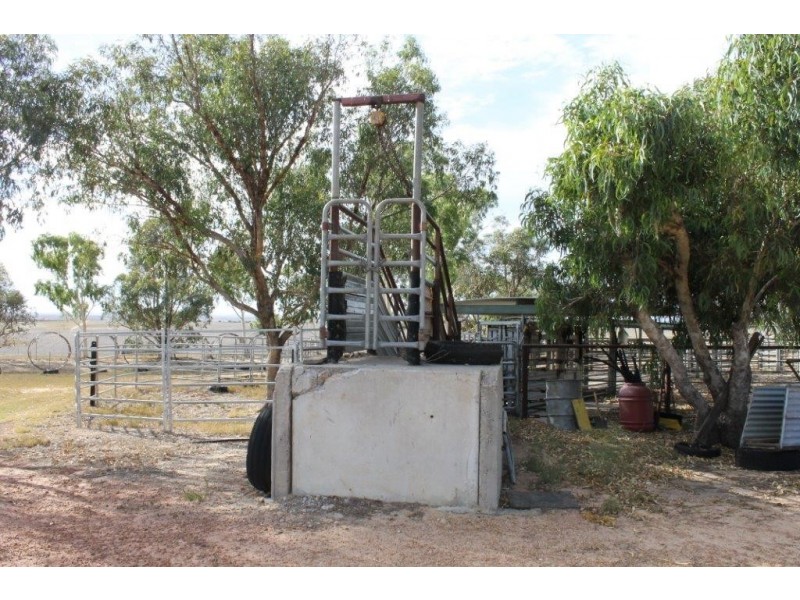 351 Pye Road, Yardarino WA 6525