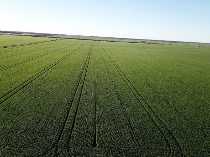 Lots 7473, 8646, 9344 Ajana Road East, Binnu WA 6532