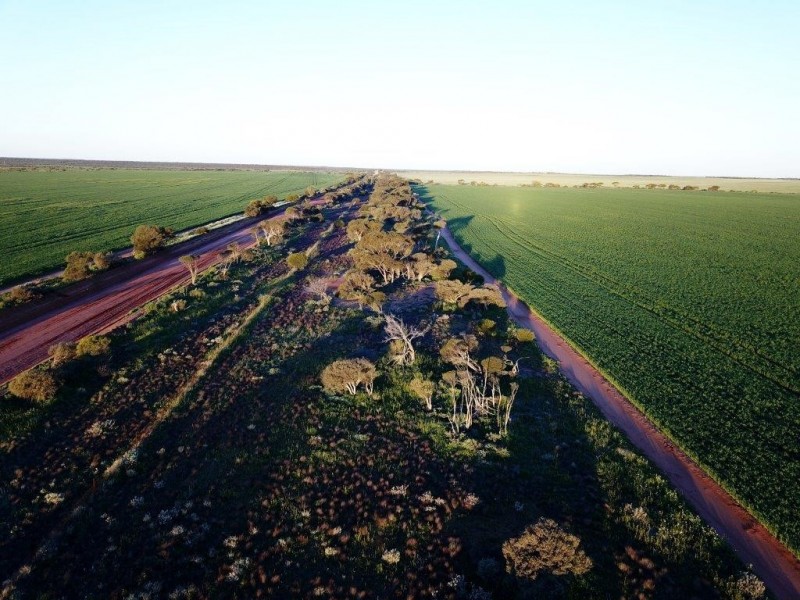 Lots 7473, 8646, 9344 Ajana Road East, Binnu WA 6532