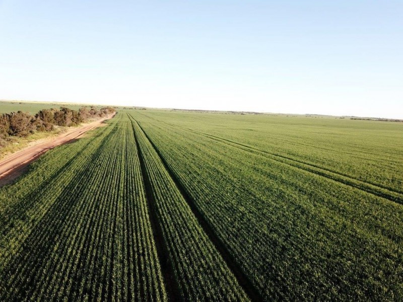 Lots 7473, 8646, 9344 Ajana Road East, Binnu WA 6532