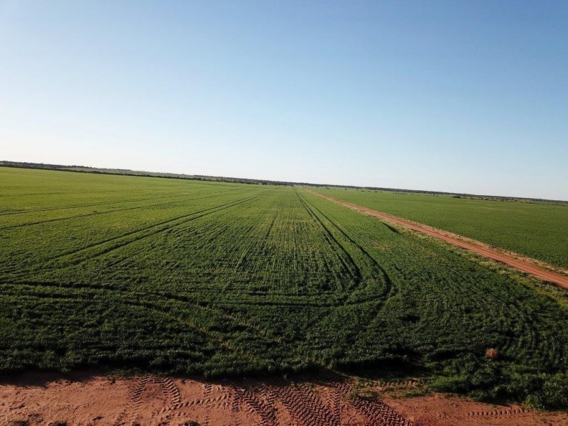 Lots 7473, 8646, 9344 Ajana Road East, Binnu WA 6532