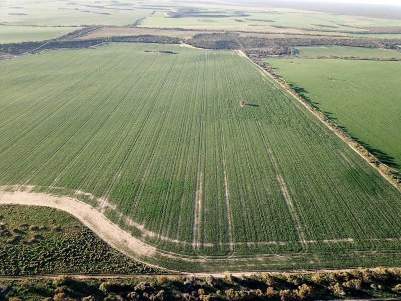 Lots 7473, 8646, 9344 Ajana Road East, Binnu WA 6532