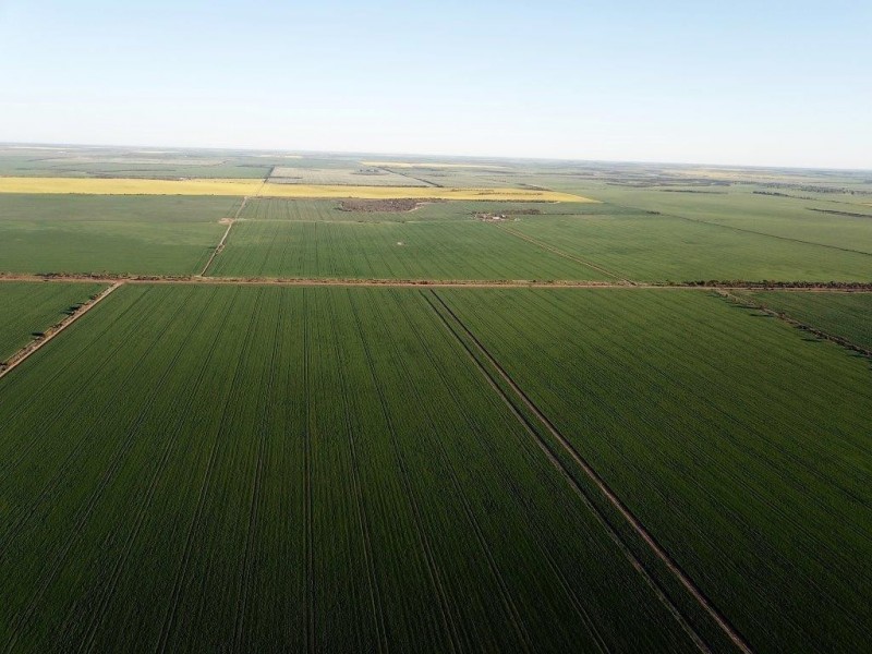 Lots 7473, 8646, 9344 Ajana Road East, Binnu WA 6532