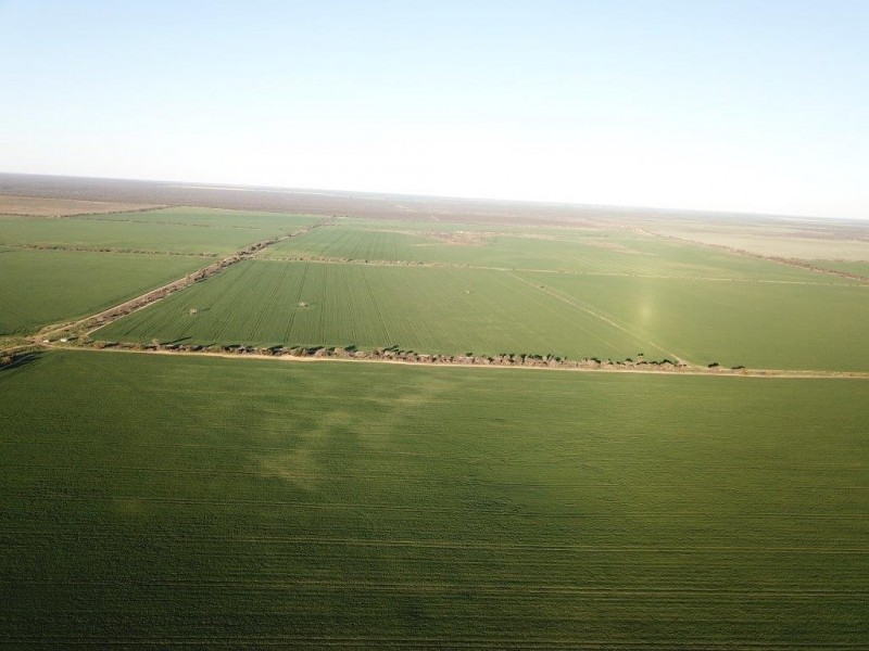 Lots 7473, 8646, 9344 Ajana Road East, Binnu WA 6532