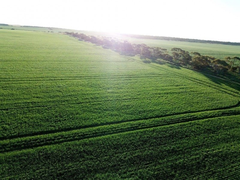 Lots 7473, 8646, 9344 Ajana Road East, Binnu WA 6532