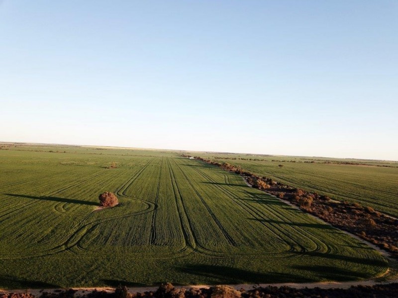 Lots 7473, 8646, 9344 Ajana Road East, Binnu WA 6532