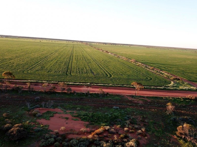 Lots 7473, 8646, 9344 Ajana Road East, Binnu WA 6532