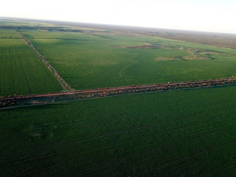 Lots 7473, 8646, 9344 Ajana Road East, Binnu WA 6532