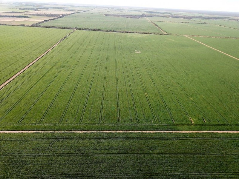 Lots 7473, 8646, 9344 Ajana Road East, Binnu WA 6532