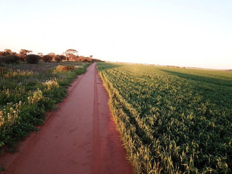 Lots 7473, 8646, 9344 Ajana Road East, Binnu WA 6532