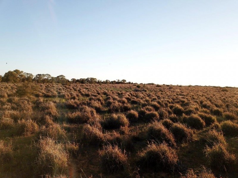 Lots 7473, 8646, 9344 Ajana Road East, Binnu WA 6532