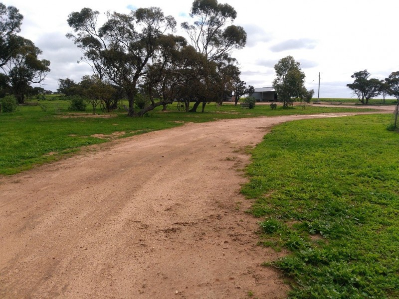 514 Locke Road, Dalwallinu WA 6609