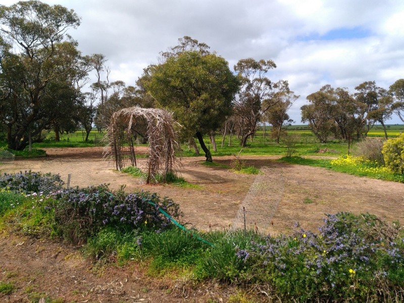 514 Locke Road, Dalwallinu WA 6609