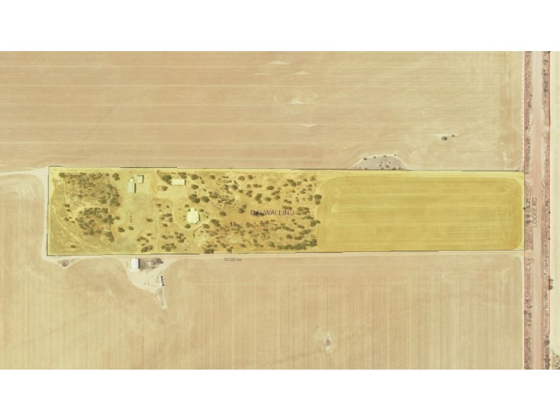 514 Locke Road, Dalwallinu WA 6609