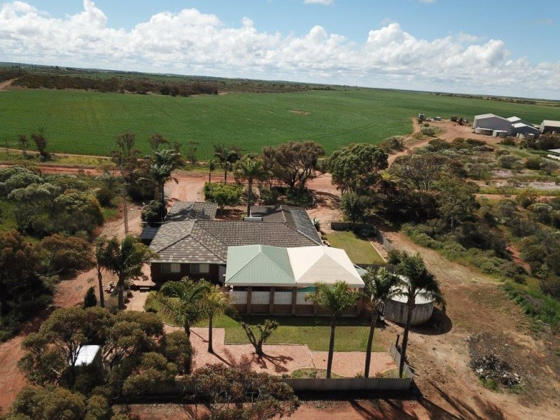 Carsim Farms “Googoolili” 8780 North West Coastal Highway, Binnu WA 6532