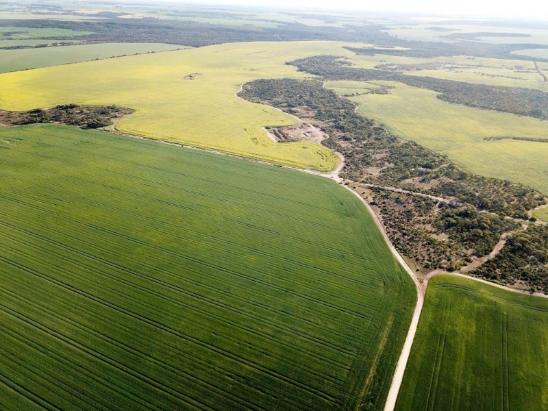 Carsim Farms “Googoolili” 8780 North West Coastal Highway, Binnu WA 6532