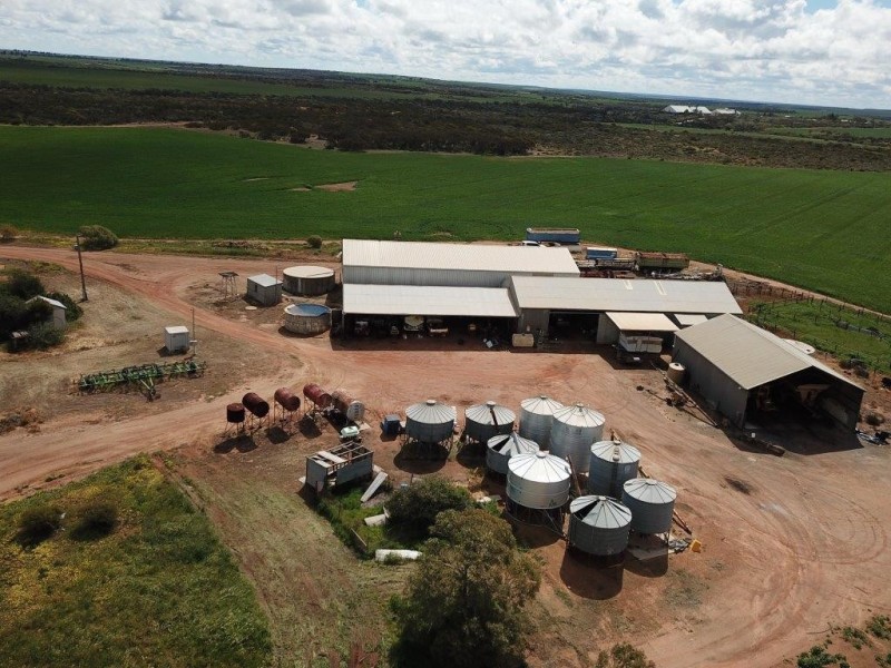 Carsim Farms “Googoolili” 8780 North West Coastal Highway, Binnu WA 6532