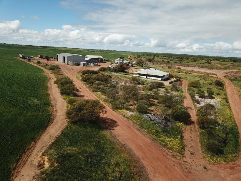 Carsim Farms “Googoolili” 8780 North West Coastal Highway, Binnu WA 6532