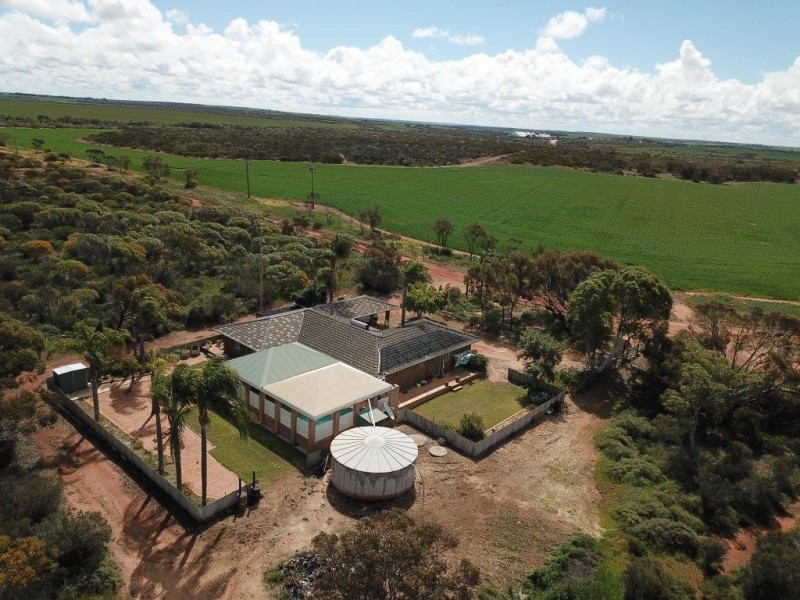 Carsim Farms “Googoolili” 8780 North West Coastal Highway, Binnu WA 6532