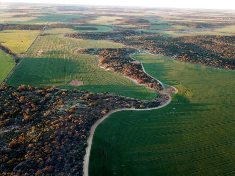 Carsim Farms “Googoolili” 8780 North West Coastal Highway, Binnu WA 6532