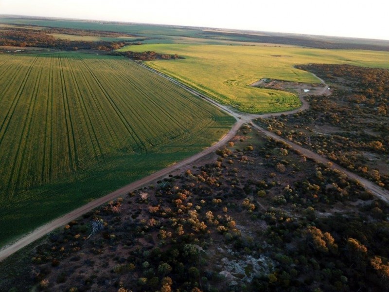 Carsim Farms “Googoolili” 8780 North West Coastal Highway, Binnu WA 6532