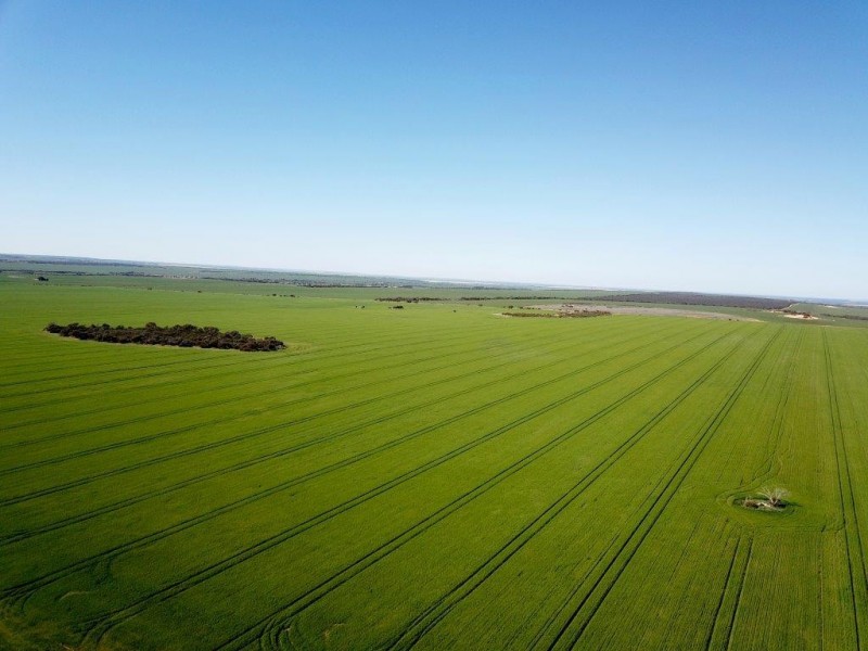 Lots 6090 and 6091 Tenindewa Road North, Tenindewa WA 6632