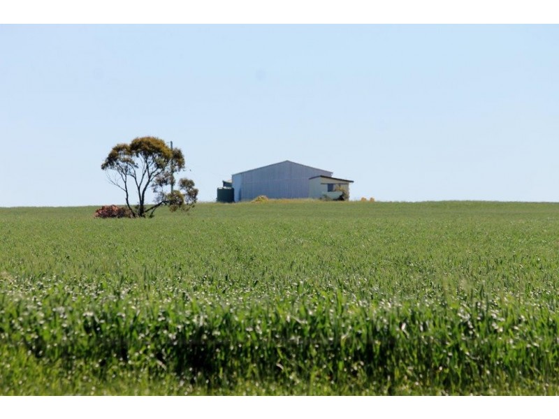 Lots 6090 and 6091 Tenindewa Road North, Tenindewa WA 6632