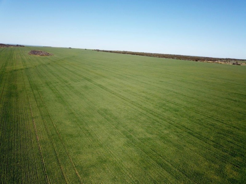 Lots 6090 and 6091 Tenindewa Road North, Tenindewa WA 6632