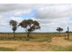 Lot 130 Walker Street, Trayning WA 6488