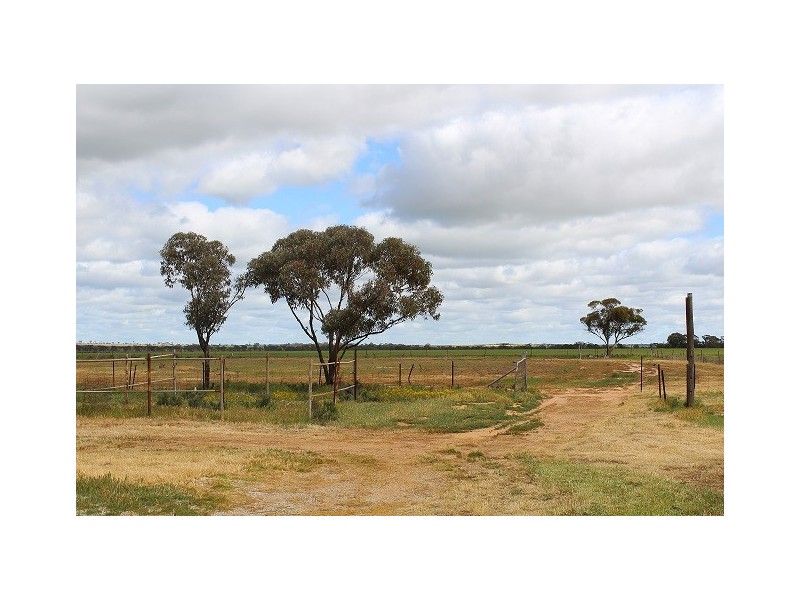 Lot 130 Walker Street, Trayning WA 6488