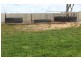 Lot 130 Walker Street, Trayning WA 6488
