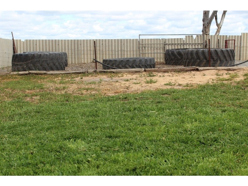 Lot 130 Walker Street, Trayning WA 6488