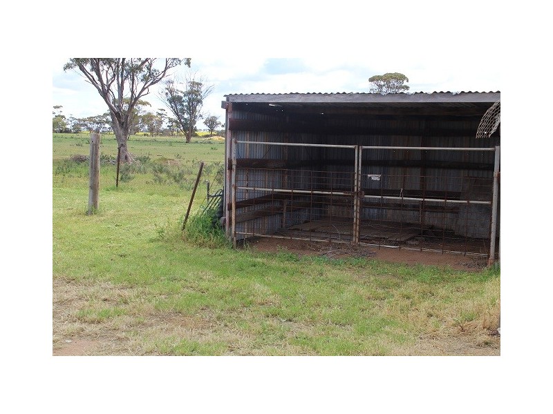 Lot 130 Walker Street, Trayning WA 6488