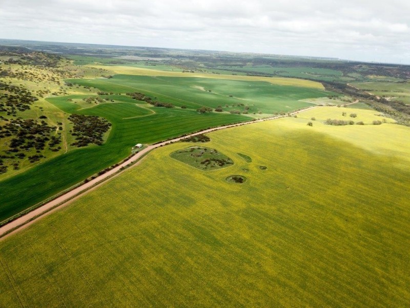 ‘Minninooka Farm’ 1586 Minnenooka Road, Minnenooka WA 6532