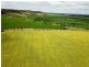 ‘Minninooka Farm’ 1586 Minnenooka Road, Minnenooka WA 6532