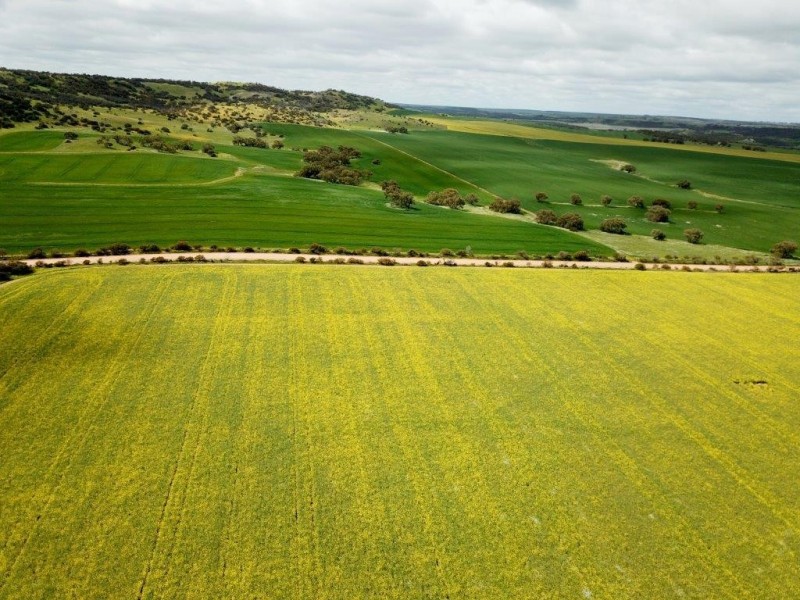 ‘Minninooka Farm’ 1586 Minnenooka Road, Minnenooka WA 6532