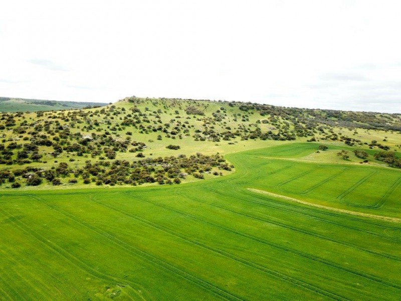 ‘Minninooka Farm’ 1586 Minnenooka Road, Minnenooka WA 6532