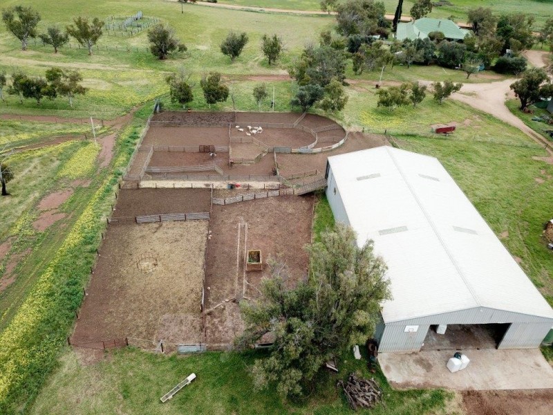 ‘Minninooka Farm’ 1586 Minnenooka Road, Minnenooka WA 6532