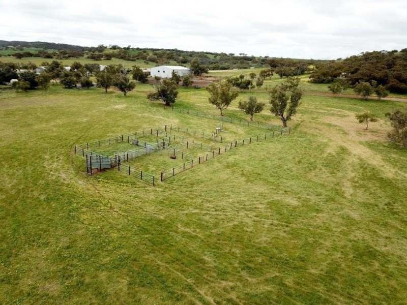 ‘Minninooka Farm’ 1586 Minnenooka Road, Minnenooka WA 6532