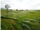 ‘Minninooka Farm’ 1586 Minnenooka Road, Minnenooka WA 6532