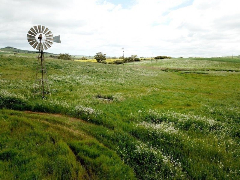 ‘Minninooka Farm’ 1586 Minnenooka Road, Minnenooka WA 6532