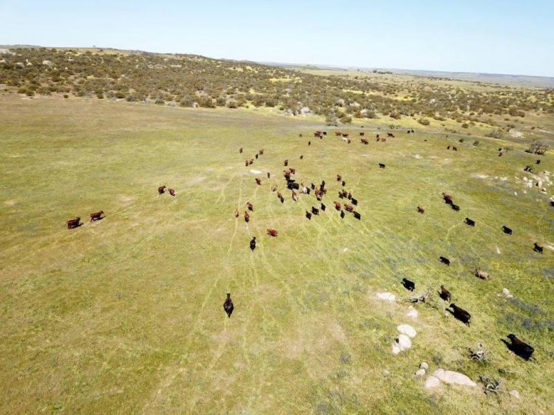 ‘Fig Tree’ Forrester Road, Mount Erin WA 6532