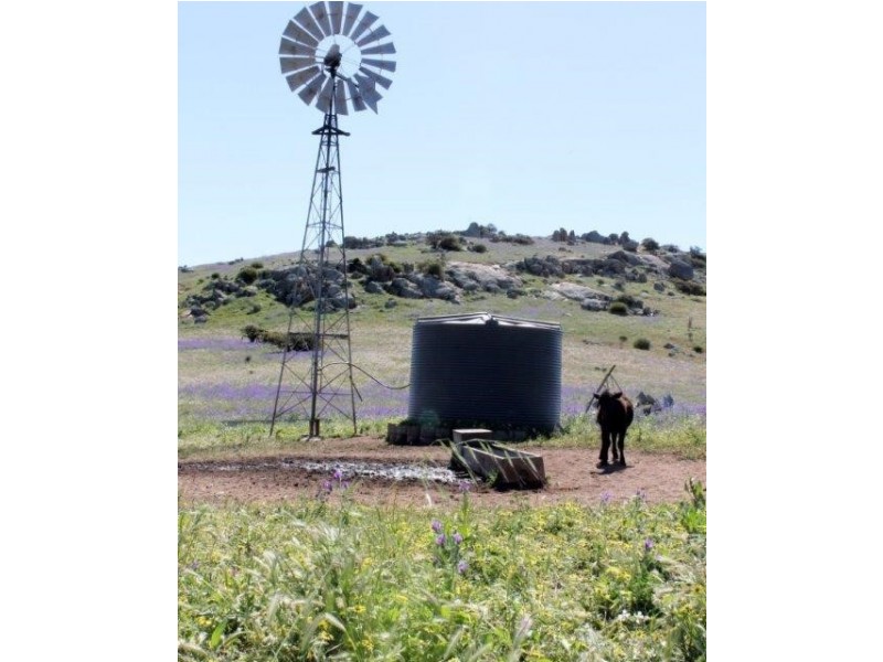 ‘Fig Tree’ Forrester Road, Mount Erin WA 6532